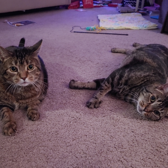 Heeeey!!! ✌😎 - Picture 3 of 3